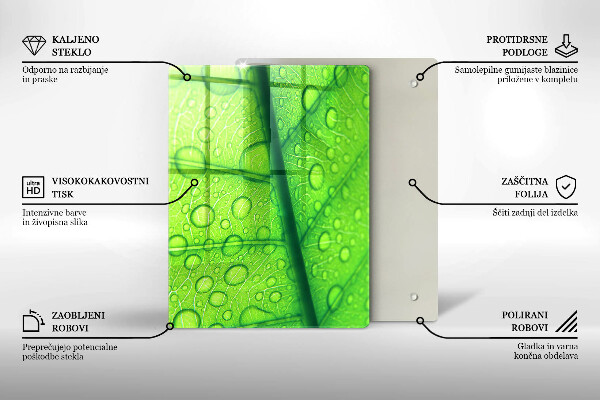 Osłona na ścianę do kuchni Zbliżenie liścia