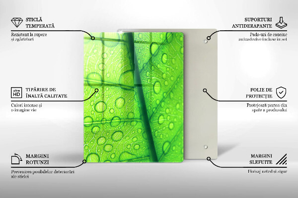 Osłona na ścianę do kuchni Zbliżenie liścia