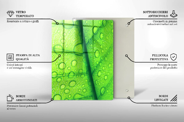 Osłona na ścianę do kuchni Zbliżenie liścia