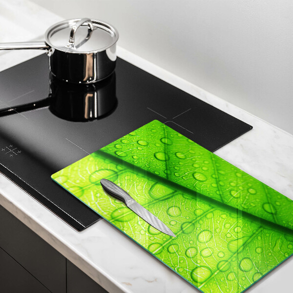 Osłona na ścianę do kuchni Zbliżenie liścia