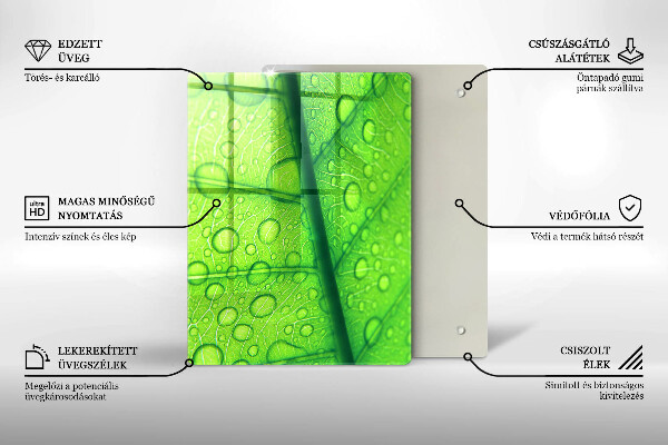 Osłona na ścianę do kuchni Zbliżenie liścia