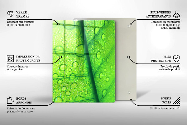 Osłona na ścianę do kuchni Zbliżenie liścia