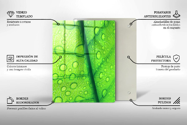 Osłona na ścianę do kuchni Zbliżenie liścia