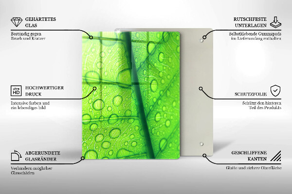 Osłona na ścianę do kuchni Zbliżenie liścia