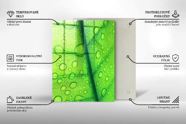 Osłona na ścianę do kuchni Zbliżenie liścia
