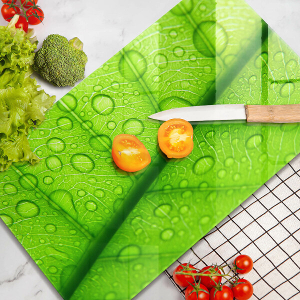 Osłona na ścianę do kuchni Zbliżenie liścia