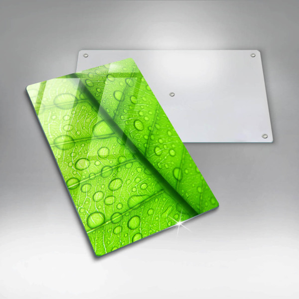 Osłona na ścianę do kuchni Zbliżenie liścia