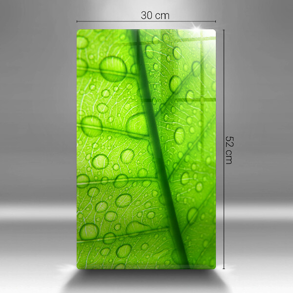 Osłona na ścianę do kuchni Zbliżenie liścia