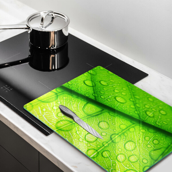 Osłona na ścianę do kuchni Zbliżenie liścia