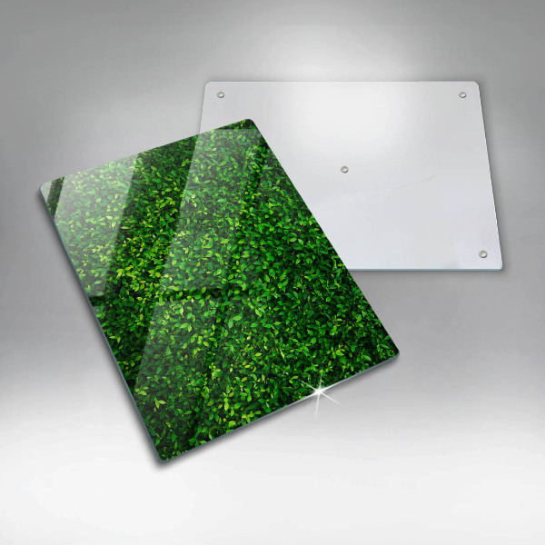 Osłona ściany przy kuchence gazowej Roślina małe listki