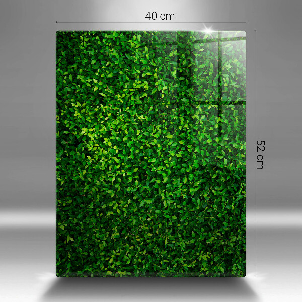 Osłona ściany przy kuchence gazowej Roślina małe listki