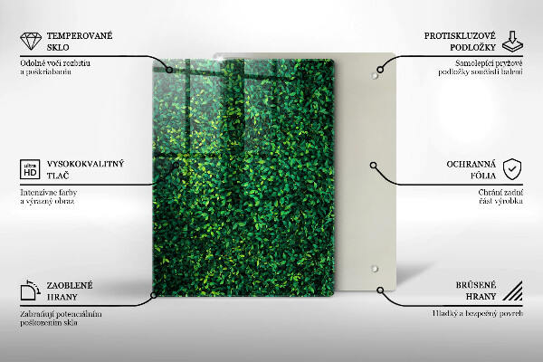 Osłona ściany przy kuchence gazowej Roślina małe listki