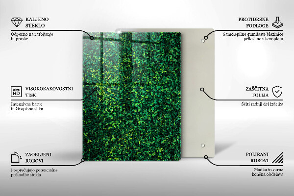 Osłona ściany przy kuchence gazowej Roślina małe listki