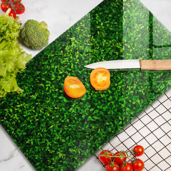 Osłona ściany przy kuchence gazowej Roślina małe listki