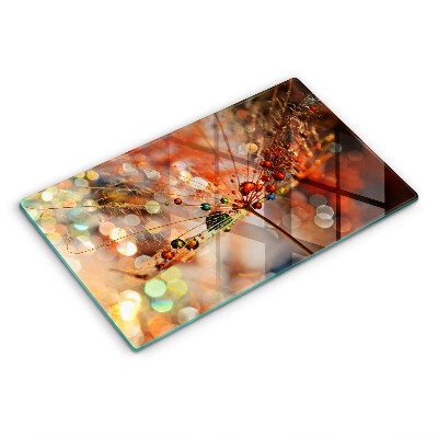 Szkło na płytę indukcyjną Mokry dmuchawiec