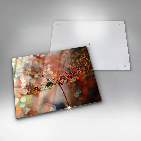 Szkło na płytę indukcyjną Mokry dmuchawiec