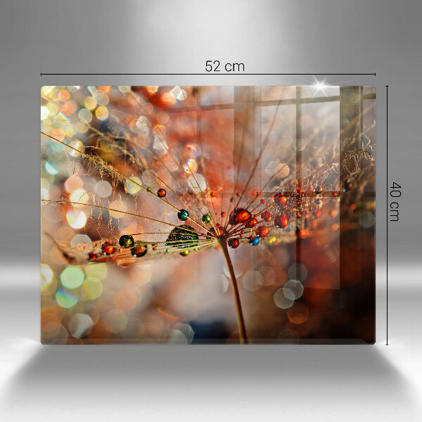 Szkło na płytę indukcyjną Mokry dmuchawiec