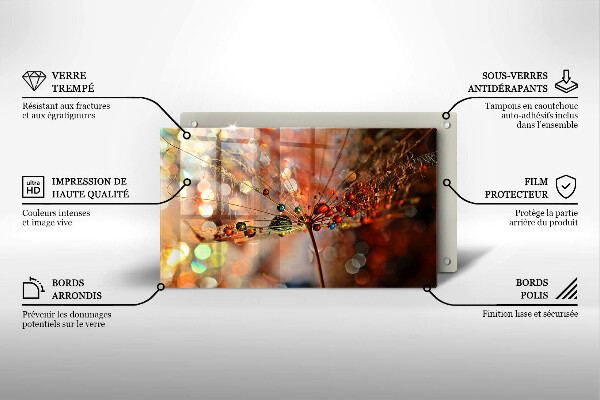 Szkło na płytę indukcyjną Mokry dmuchawiec