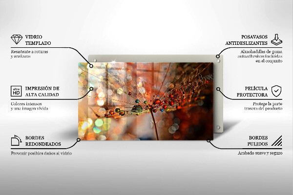 Szkło na płytę indukcyjną Mokry dmuchawiec