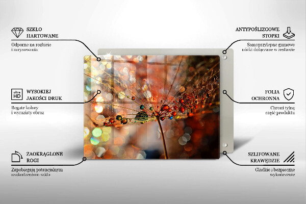 Szkło na płytę indukcyjną Mokry dmuchawiec