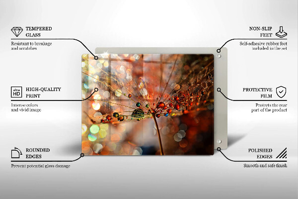 Szkło na płytę indukcyjną Mokry dmuchawiec