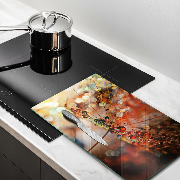 Szkło na płytę indukcyjną Mokry dmuchawiec