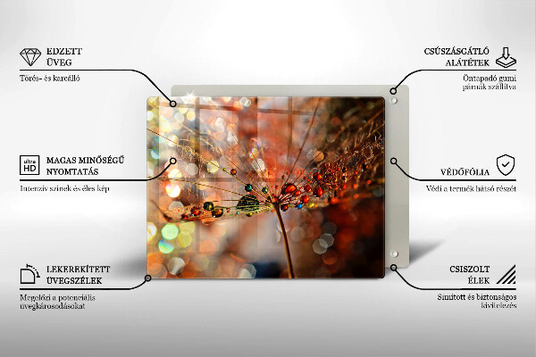 Szkło na płytę indukcyjną Mokry dmuchawiec