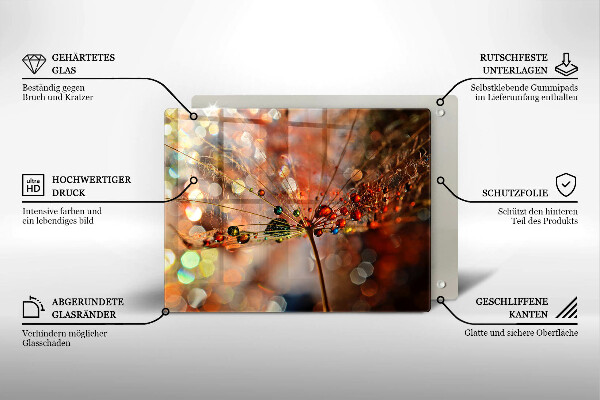 Szkło na płytę indukcyjną Mokry dmuchawiec
