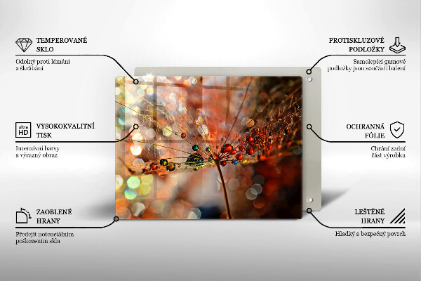 Szkło na płytę indukcyjną Mokry dmuchawiec