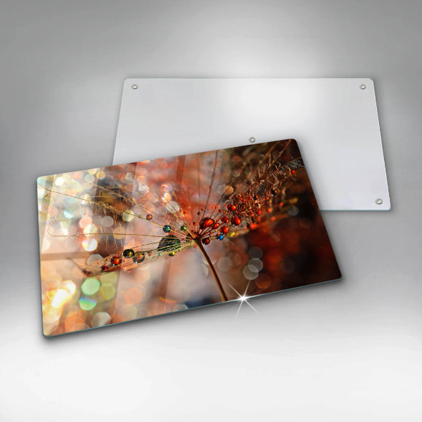 Szkło na płytę indukcyjną Mokry dmuchawiec