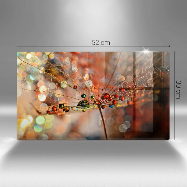 Szkło na płytę indukcyjną Mokry dmuchawiec