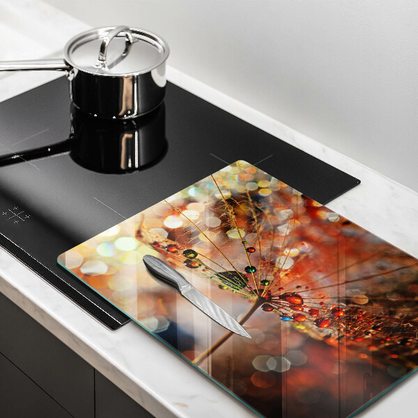 Szkło na płytę indukcyjną Mokry dmuchawiec