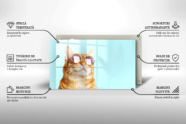 Osłona ściany przy kuchence gazowej Rudy kot w okularach