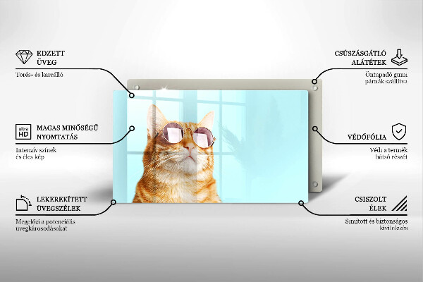 Osłona ściany przy kuchence gazowej Rudy kot w okularach