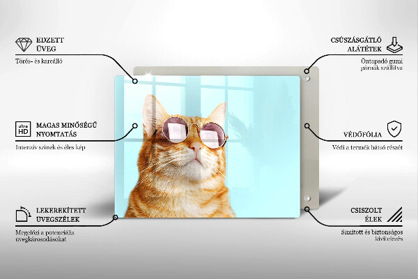 Osłona ściany przy kuchence gazowej Rudy kot w okularach