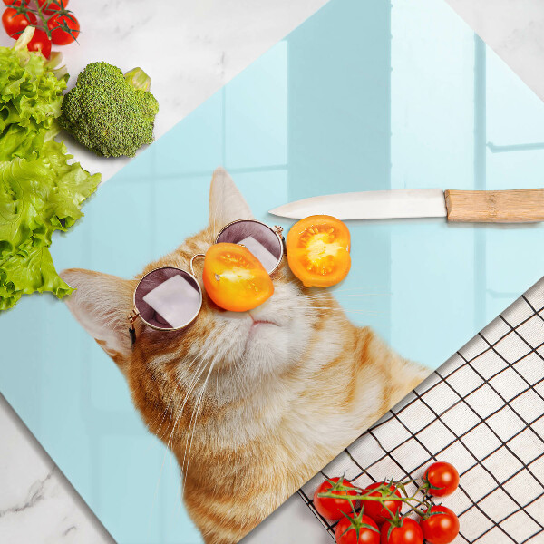 Osłona ściany przy kuchence gazowej Rudy kot w okularach