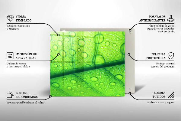 Osłona do płyty indukcyjnej Zbliżenie liścia