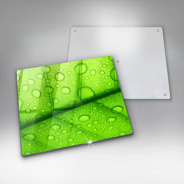 Osłona do płyty indukcyjnej Zbliżenie liścia