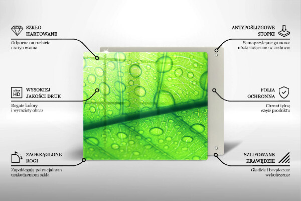 Osłona do płyty indukcyjnej Zbliżenie liścia