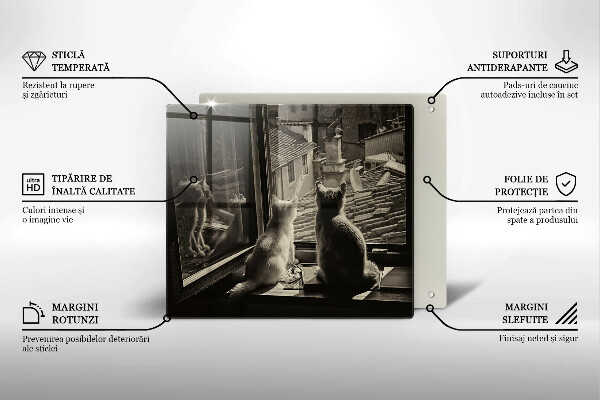 Osłona ściany przy kuchence gazowej Koty miasto i okno