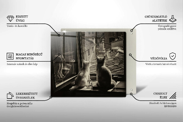 Osłona ściany przy kuchence gazowej Koty miasto i okno