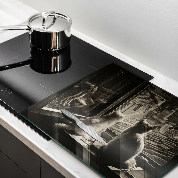 Osłona ściany przy kuchence gazowej Koty miasto i okno