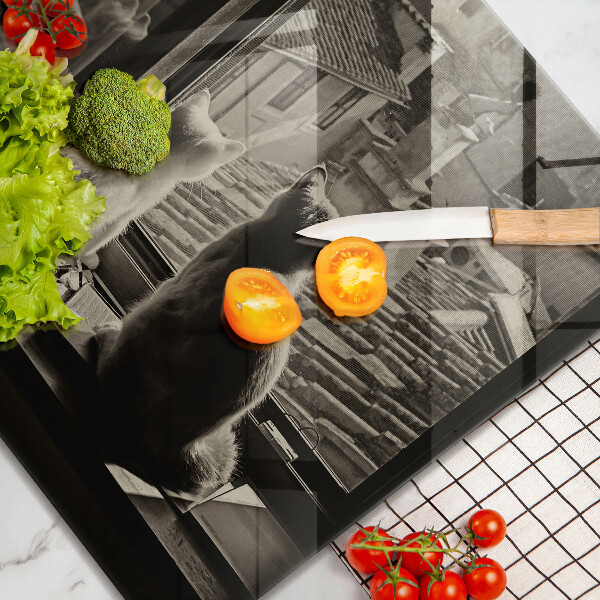 Osłona ściany przy kuchence gazowej Koty miasto i okno