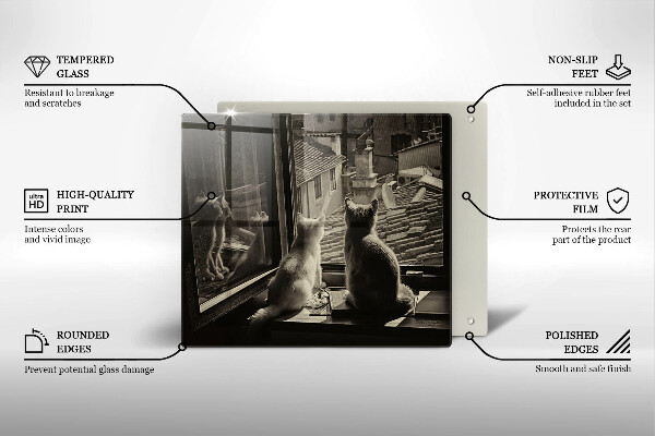 Osłona ściany przy kuchence gazowej Koty miasto i okno