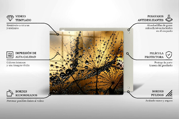 Osłona ściany przy kuchence gazowej Rosa i dmuchawce