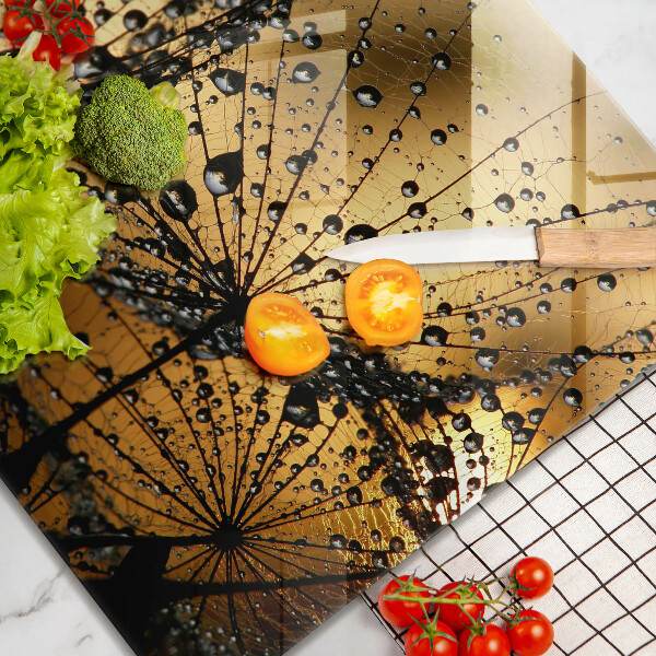 Osłona ściany przy kuchence gazowej Rosa i dmuchawce