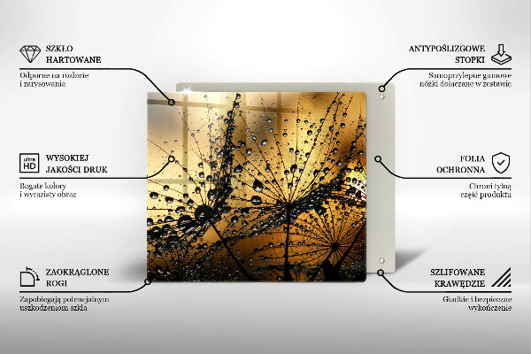 Osłona ściany przy kuchence gazowej Rosa i dmuchawce