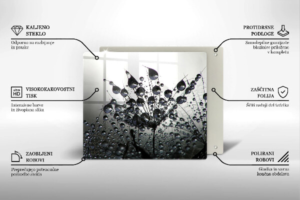 Osłona ściany przy kuchence gazowej Dmuchawce i rosa