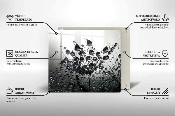 Osłona ściany przy kuchence gazowej Dmuchawce i rosa