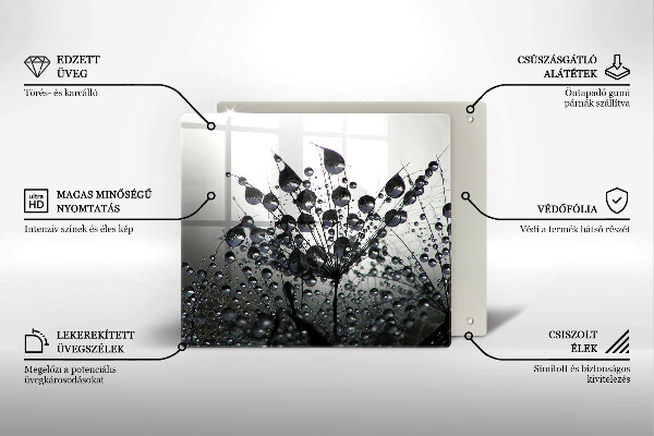 Osłona ściany przy kuchence gazowej Dmuchawce i rosa